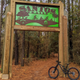Amazing FL MTB trails